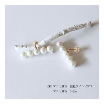 ふるさと納税 志摩市 志摩産アコヤ真珠 5-6ミリ ホワイトピンク 5粒タイプ 数粒ラインピアス |  | 01