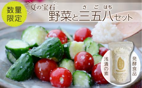 【 先行予約 】 夏の宝石野菜と三五八(さごはち) セット 数量限定 野菜 夏野菜 やさい 三五八 さごはち 発酵 発酵食品 健康 腸活 農家直送 新鮮 ギフト 贈答 人気 ミニトマト 枝豆 レシピ N069-002