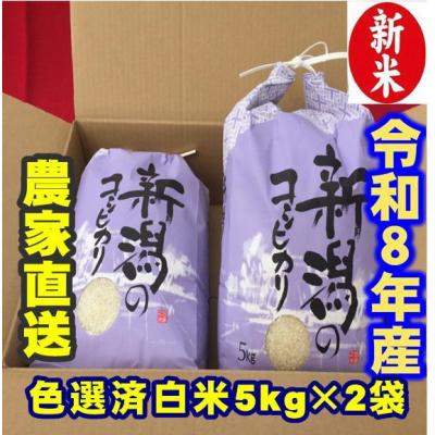 ふるさと納税 阿賀野市 【令和8年産新米】 新潟県産 「従来こしひかり」 白米 10kg(5kg×2袋)