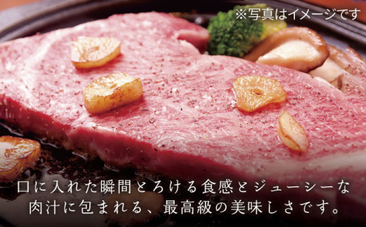 【6回定期便】特選 平戸和牛 サーロインステーキ 約250g×2枚【萩原食肉産業有限会社】[KAD115]/ 長崎 平戸 肉 牛 牛肉 黒毛和牛 和牛 焼肉 ステーキ サーロイン 冷蔵  定期便