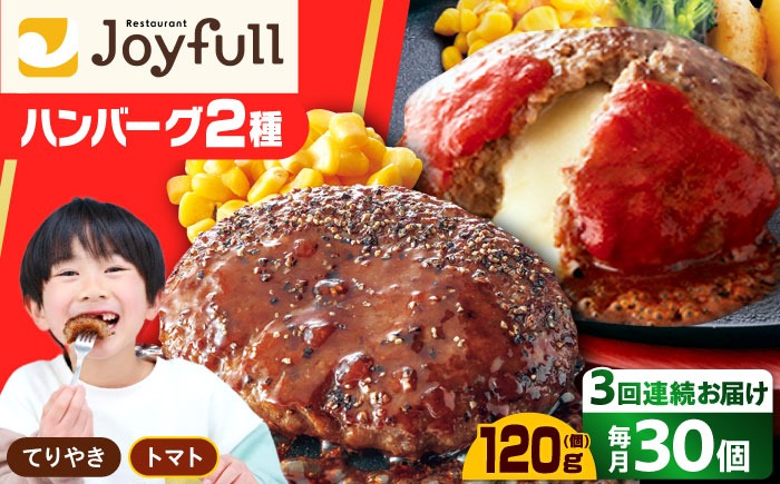 【全3回定期便】ジョイフル ハンバーグ スペシャル 詰め合わせ 2種 30個 セット《築上町》【株式会社　ジョイフル】[ABAA078]
