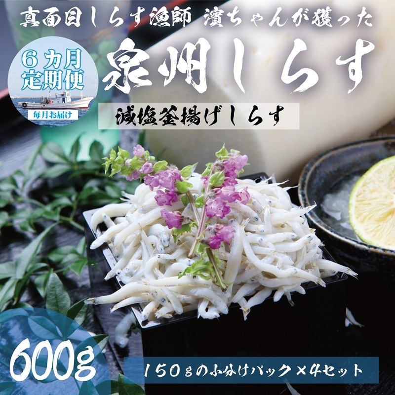 【定期便】泉州しらす （減塩釜揚げ）600g ×全6回 真面目漁師 濱ちゃんのこだわり G2190