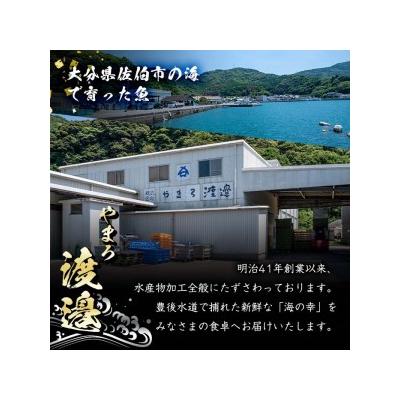 ふるさと納税 佐伯市 中骨なし開き3種詰め合わせ (16尾・3種:隔月3回)