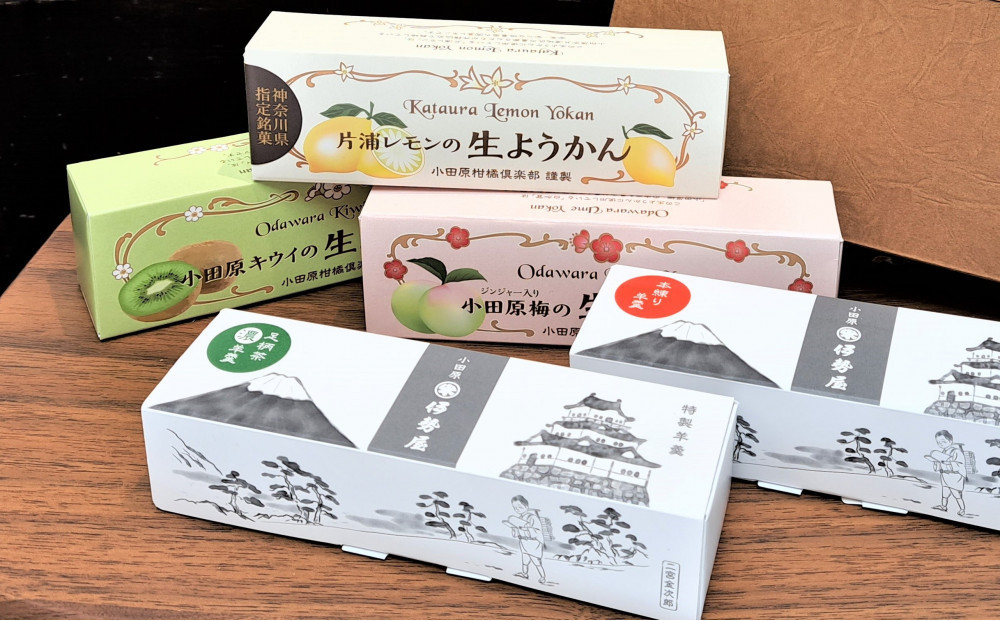 
小田原老舗和菓子店の手づくりようかん5本セット【和菓子店　手づくりようかん5本セット レモンようかん　フルーツようかん 足柄茶ようかん 本練ようかん キウイようかん 梅ようかん 神奈川県指定銘菓 神奈川県 小田原市 】
