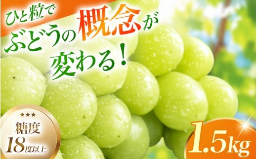 シャインマスカット【2026年先行予約】ぶどうの概念が変わる 秀品 約1.5kg 3～4房 糖度18度以上 ｜ 岡山 ぶどう シャインマスカット　葡萄 産地直送 種なし シャインマスカット　皮ごと 岡山 真庭市 シャインマスカット　ぶどう ぶどう 葡萄 シャインマスカット マスカット しゃいんますかっと 果物 フルーツ 大粒 種無し 皮ごと 岡山県 真庭市【ysdb002】