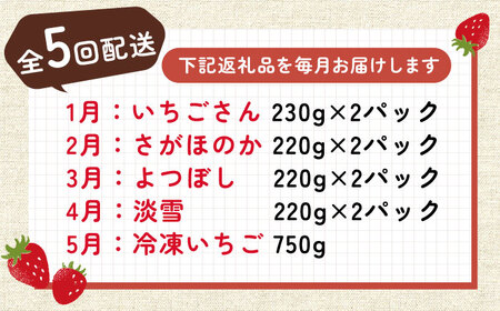 【先行予約】【全5回定期便】佐賀県産 いちご4品種（ いちごさん/さがほのか/よつぼし/淡雪）と冷凍いちご食べ比べ / フルーツ 白いちご 紅白いちご / 佐賀県 / 岸川農園[41ASAG039]