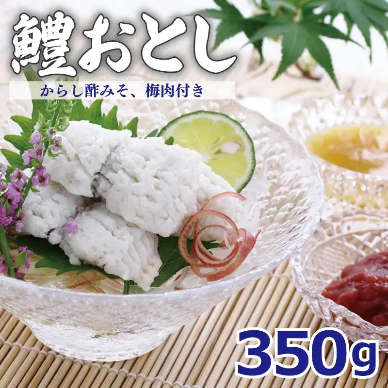鱧おとし 350g【からし酢みそ 梅肉付き】