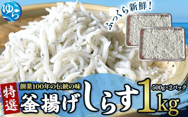 
            ＼レビューキャンペーン中／  特選 釜揚げしらす（500ｇパック入り×2つ）シラス しらす丼 国産 冷蔵 個包装 魚 お魚 さかな 食品 和歌山県 由良町 16000円 スピード配送 プレミア和歌山 プレミア 釜揚げ 【uoms001】
          