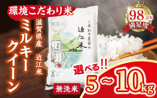 
                  令和7年産 近江米 ミルキークイーン 無洗米 5kg / 10kg 国産 滋賀県 米 中谷農場 環境こだわり米【BNSKU3】 米 白米 みるきーくいーん 国産 農家直送 環境こだわり お米 こめ おこめ 先行予約 農家直送 産地直送 滋賀県 近江八幡
                