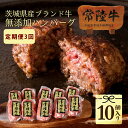 【ふるさと納税】 【定期便3回】 肉 常陸牛 ハンバーグ 10個 セット ×3回 計30個 牛肉 焼くだけでレストランの味 常陸牛ハンバーグ 個別真空パック 小分け 冷凍 黒毛和牛 誕生日プレゼント 食べ物 ギフト対応 57000円 【肉のイイジマ】 茨城県 水戸市 （DU-97）