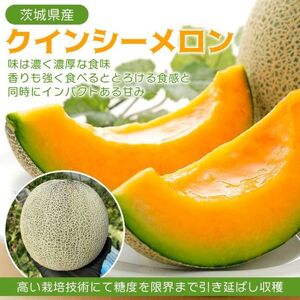 2026年先行予約！【発送5月上旬～】濃厚な甘さとジューシーな果肉！クインシー メロン 2玉 めろん 赤肉 人気 おすすめ クインシー 甘い フルーツ 濃厚 くだもの  自家栽培 めろん 贈答用 贈り物 プレゼント  内山農園 茨城県 鉾田市
