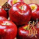 【ふるさと納税】「秋映」約3kg（8～10玉）【松崎果樹園】 | フルーツ 果物 くだもの 食品 人気 おすすめ