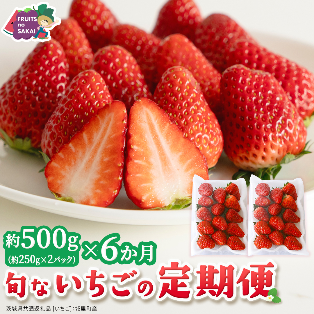 【定期便】旬ないちご品種おまかせ6ヶ月連続お届け便 （約