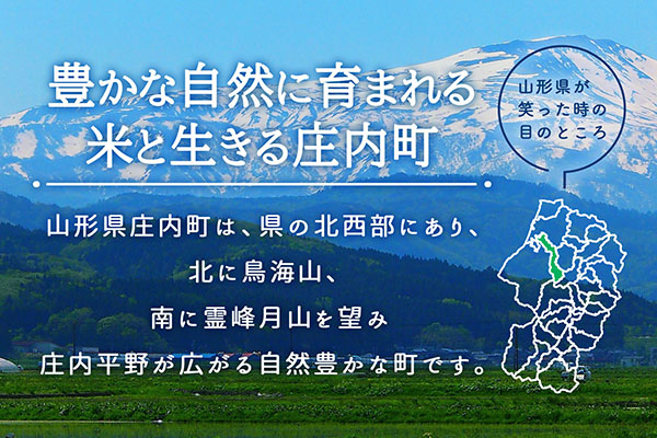 【新米受付】令和8年産 特別栽培米 つや姫 5kg 吉祥ファーム 5kg×1袋 2026年産 ブランド米 米 国産 単一原料米 山形 庄内平野 コシヒカリの原点、亀の尾発祥の地 庄内【R8.10月以降