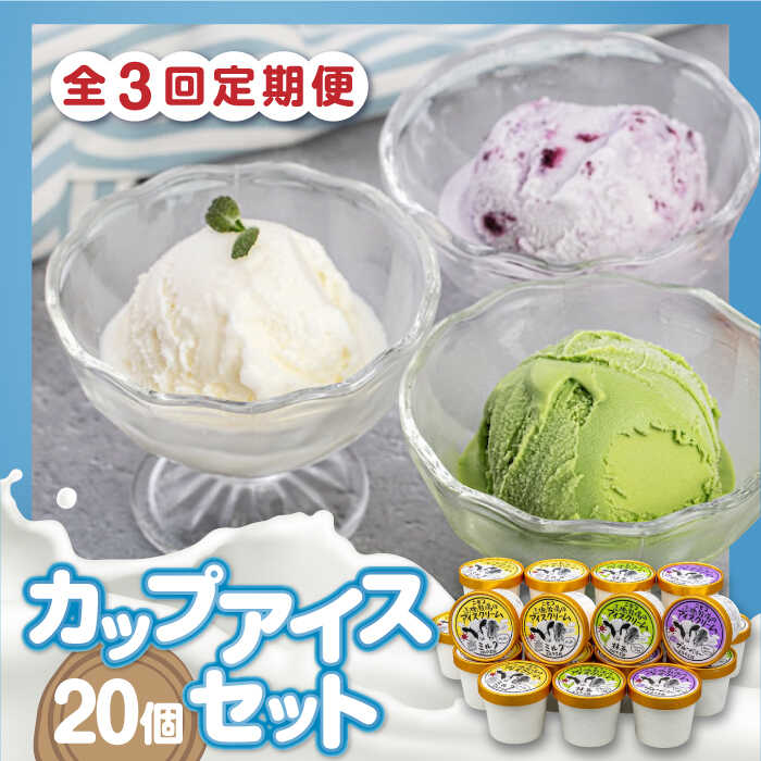 【ふるさと納税】【全3回定期便】 カップアイスセット 20個《喜茂別町》【ニセコリゾート観光協会/ミルク工房】 アイス アイスクリーム ジェラート ミルク 抹茶 ブルーベリー 詰め合わせ ギフト 冷凍配送 北海道 定期便 定期 [AJAI060] 60000 60000円 6万円