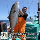 【ふるさと納税】 船釣 VIP 乗船券 乗合 1名様 (上級者向け) / 伊豆 同船 船釣り 釣船 釣り船 釣り つり 海 海釣り 土肥 駿河湾 港 船 魚 体験 レジャー アウトドア チケット 利用券 静岡県 伊豆市 [15-006]