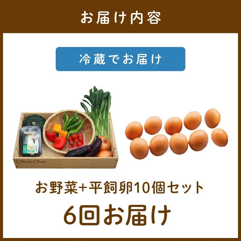【6回定期便】有機野菜・京野菜の『京都やおよし』のお野菜＆平飼玉子10個の詰め合わせ