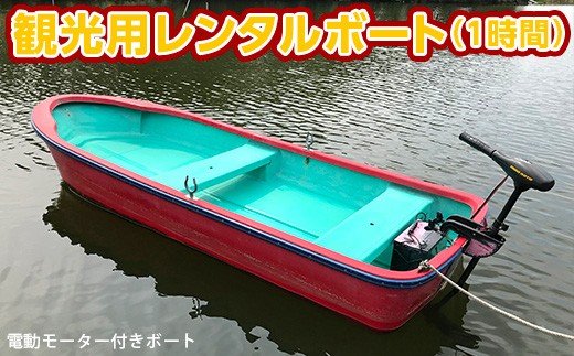 【ふるさと納税】★ レビューキャンペーン 実施中 ★ 亀山湖 観光用 レンタルボート（電動） 共通利用券 | （1時間1回分）送料無料 要予約 亀山湖観光事業協同組合 千葉市 君津 きみつ