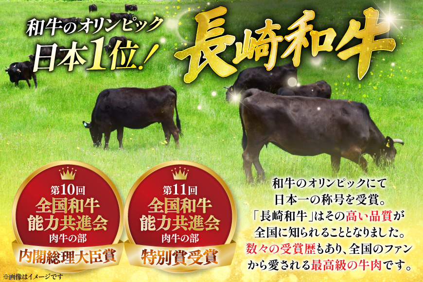 牛肉 長崎和牛 しゃぶしゃぶ用 約250g [萩原食肉産業 長崎県 平戸市 hr42bgy410255] 肉 お肉 和牛 国産 小分け パック 便利 冷凍  肩ロース ロース ブランド 平戸牛 国産牛