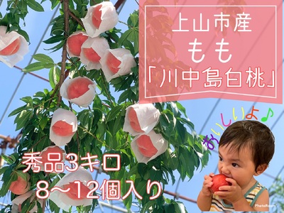桃（川中島）３ｋｇ　0120-2501