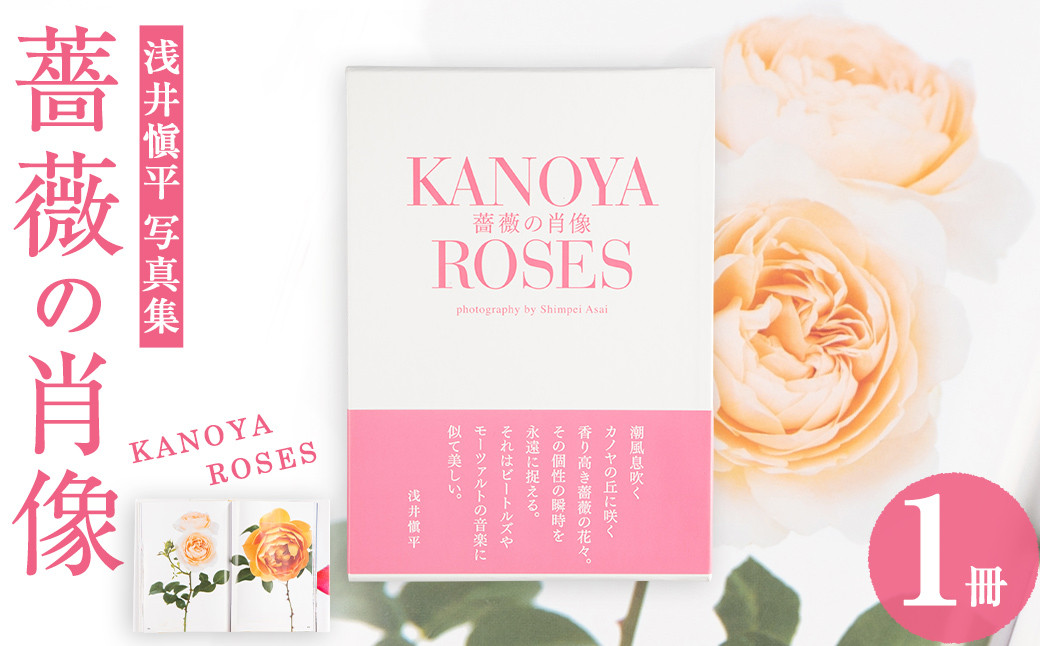 
1031 浅井愼平写真集　薔薇の肖像　KANOYA ROSES
