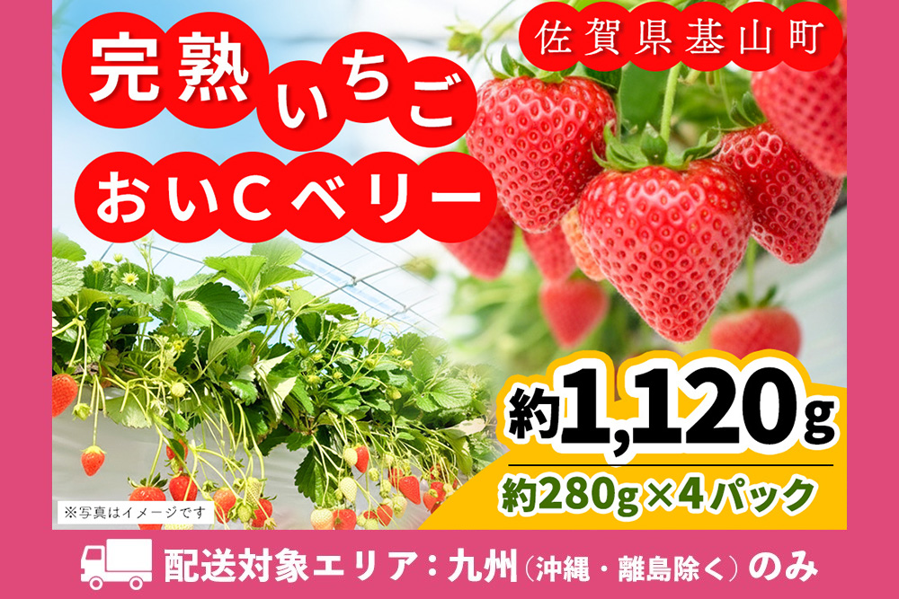 【九州内配送】【農場直送いちご】おいCベリー(約280g×4P)【ふるさと納税 基山町産 いちご イチゴ 朝採れ 完熟果 KBCテレビ「ふるさとwish」で紹介されました】K100036