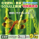 【ふるさと納税】【令和6年産 新米】【3ヶ月定期便】こしひかり 3kg × 3回 計 9kg【白米】減農薬・減化学肥料「特別栽培米」－地球にやさしいお米－【定期便・お米・コシヒカリ】[A-003001]