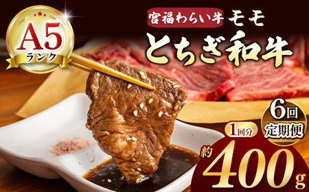 【栃木県共通返礼品】【定期便6回】宮福笑牛（とちぎ和牛）A5 モモ焼き肉　約400g