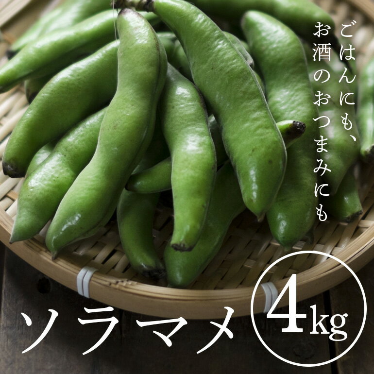 【ふるさと納税】 ソラマメ 4kg そら豆 空豆 産地直送 野菜 冷蔵便 新鮮 国産 茨城県産 季節限定 フレッシュ ベジタブル 豆 まめ そらまめ 農園直送 国産 家庭用 ギフト おつまみ 茨城県 石岡市 (A33-001)