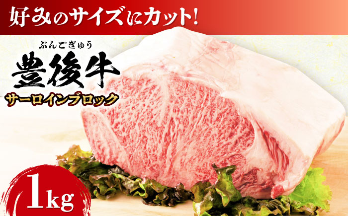 【厳選部位】おおいた豊後牛 サーロイン ブロック 1kg サーロイン 日田市 / 株式会社MEAT PLUS　牛 うし 黒毛和牛 和牛 豊後牛 [AREI023]