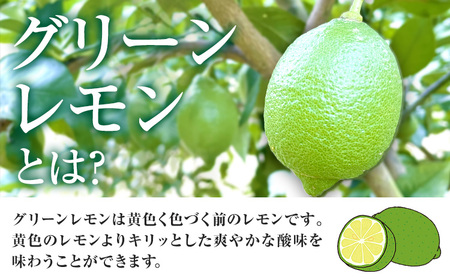 グリーンレモン 約2kg ときわオンライン【先行予約】《2026年10月上旬-2027年2月末頃出荷》 柑橘 和歌山県 紀の川市 フルーツ 果物 レモン グリーンレモン 檸檬 送料無料
