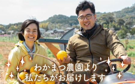 【全6回定期便】【 植物 由来 】 万能 濃縮 甘夏 みかん 洗剤 糸島市 / わかまつ農園[AHB021]