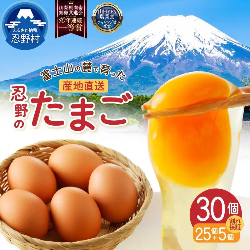 ”忍野の卵”コクの赤玉30個 ※割れ保証含む 卵