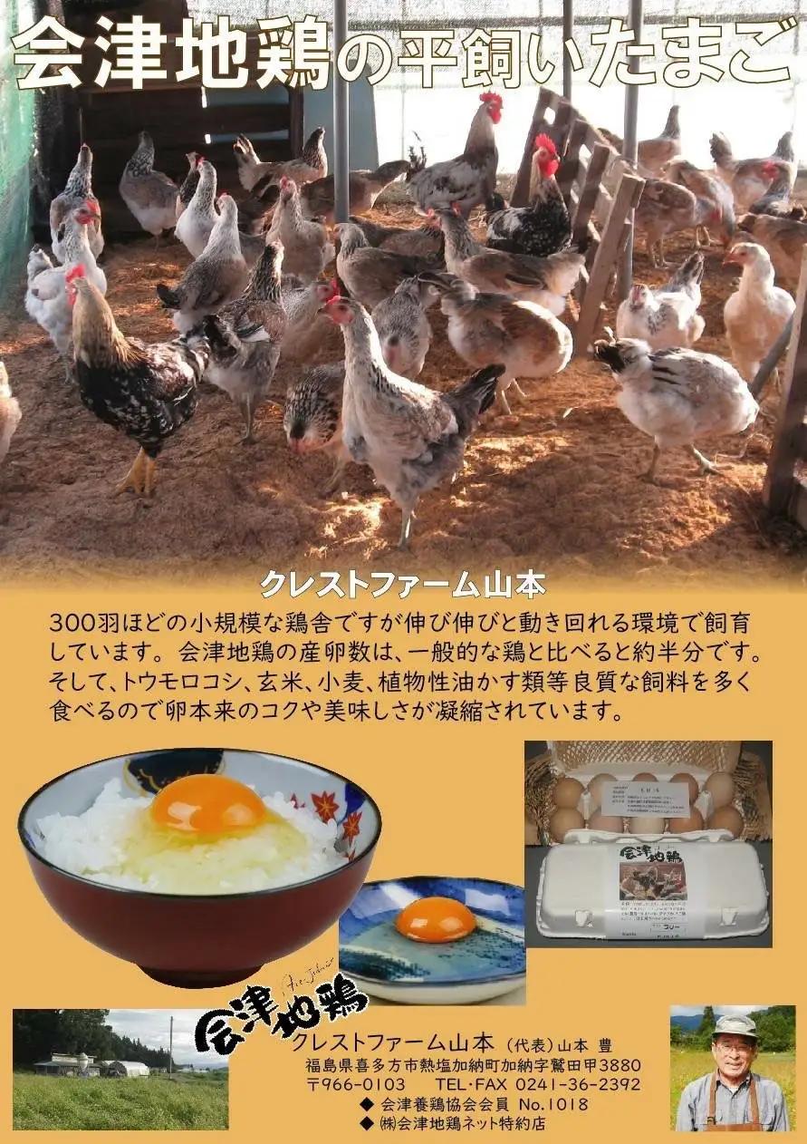 会津地鶏卵定期便（1箱20個）5ヶ月間　【07208-0171】