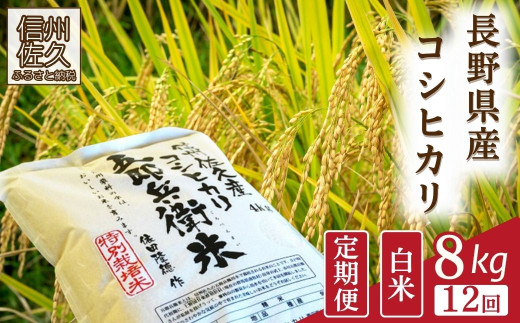 【令和8年産・白米8kg×12カ月定期便】特別栽培米　五郎兵衛米 〈2026年9月下旬頃～順次発送〉 先行予約　新米　信州　こしひかり【 米 コメ 白米 精米 お米 こめ おこめ 予約 備蓄品 コシヒカリ 長野県 佐久市 】