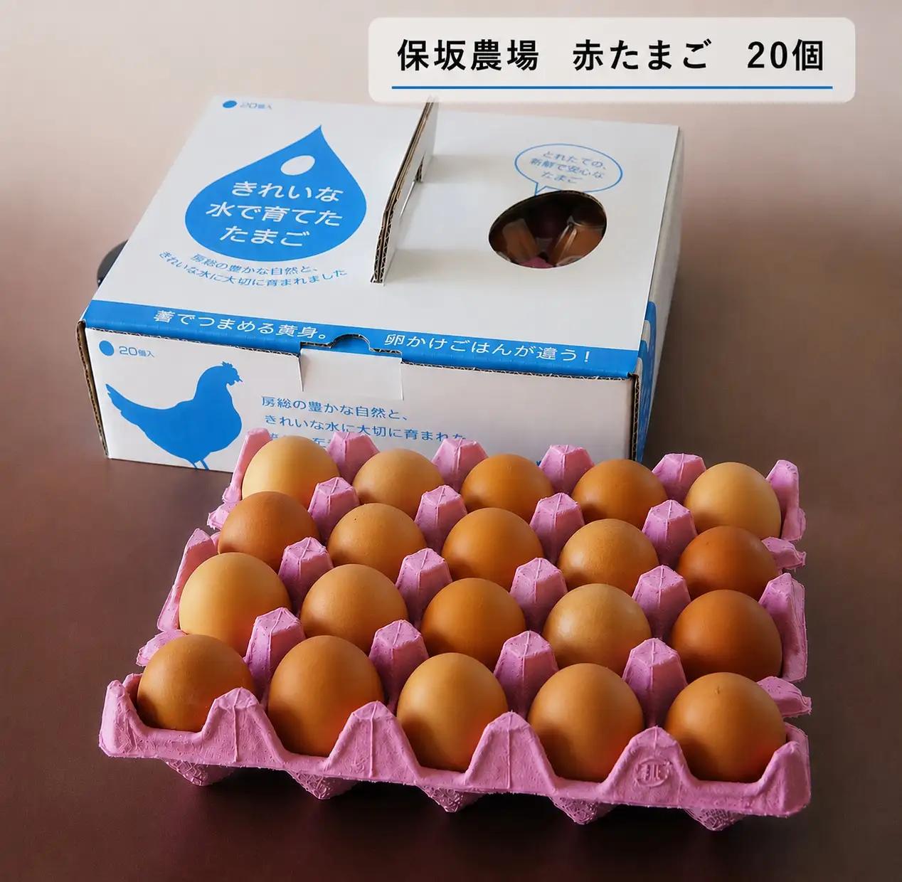 たまご 赤玉 食べ比べ 便 4回 定期便 食べ比べ 君津市産 卵 10月以降順次発送開始 |  菜の花エッグ アスタキサンチン卵 菜の花たまご 三枝農場 赤玉 保坂農場 光永ファーム 卵 タマゴ 玉子