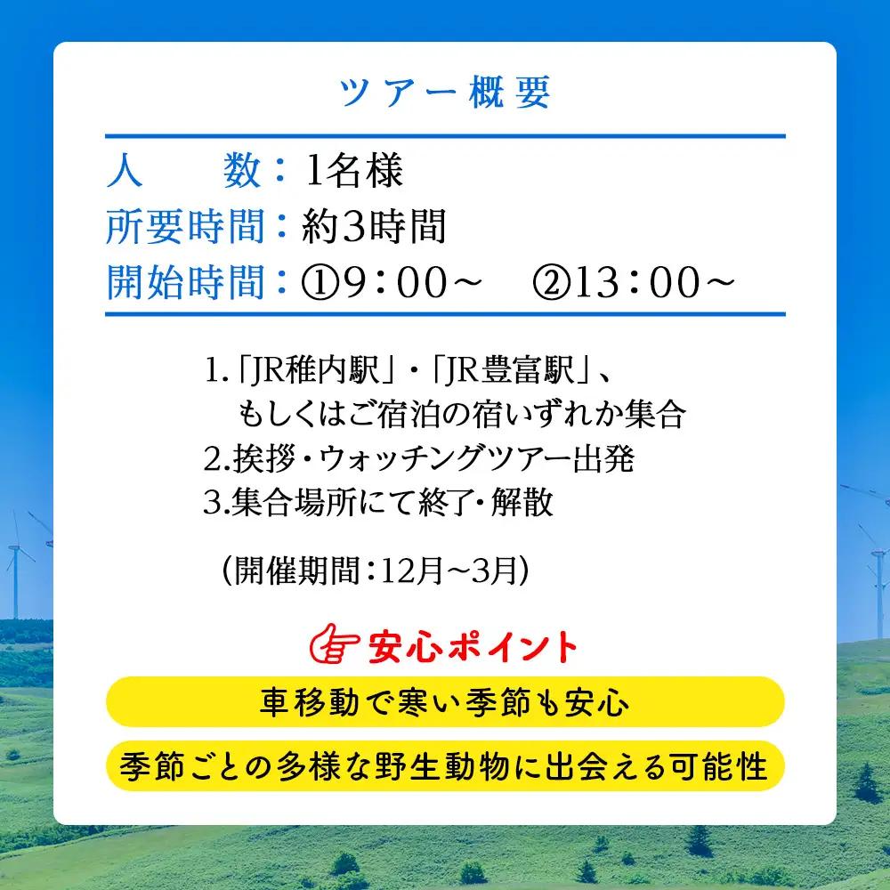 ワシ、シカ、アザラシ！最北のアニマルウォッチングツアー1名様