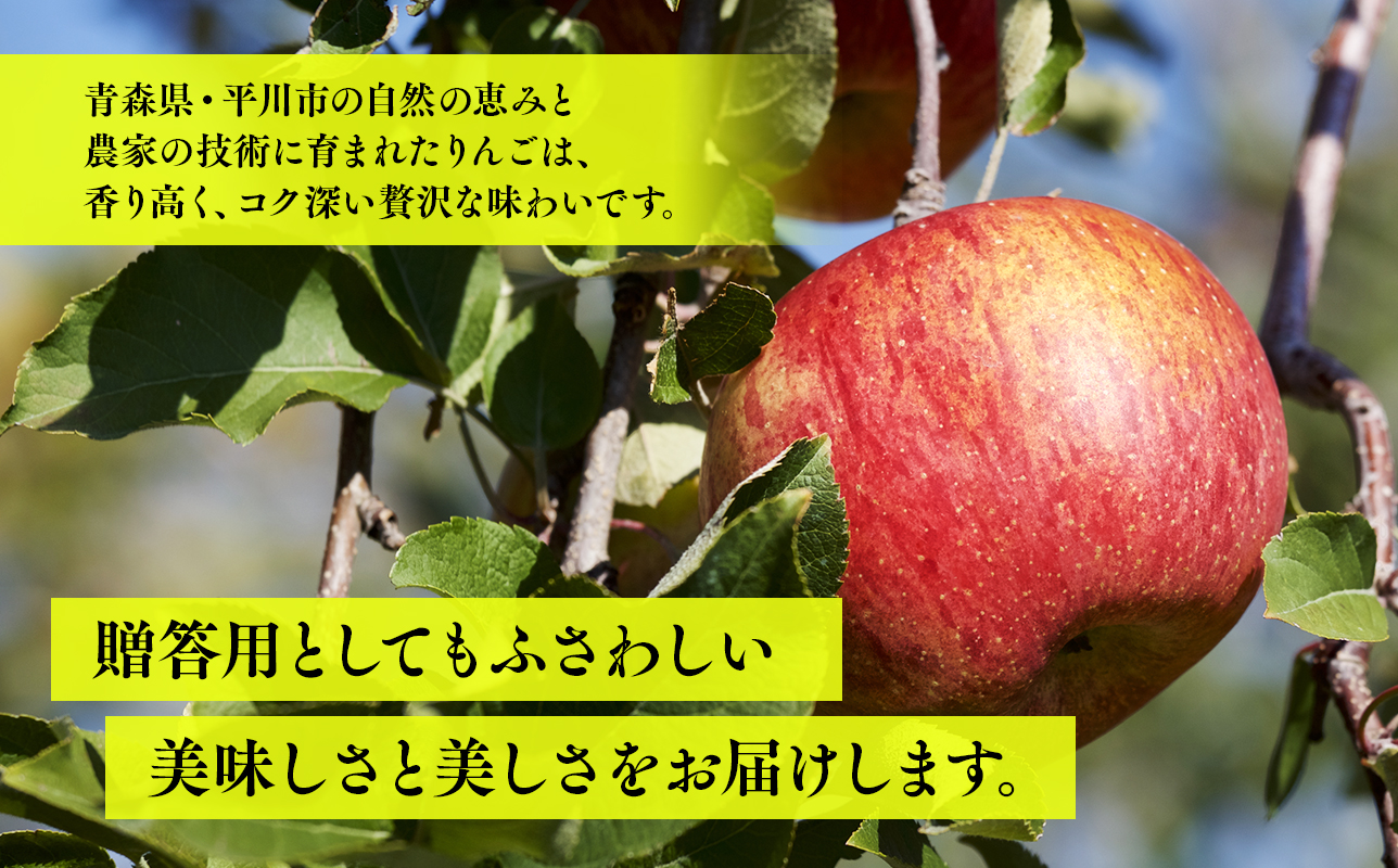 【10月発送】贈答用早生ふじ5kg【今井農園】≪hi-0064-011≫