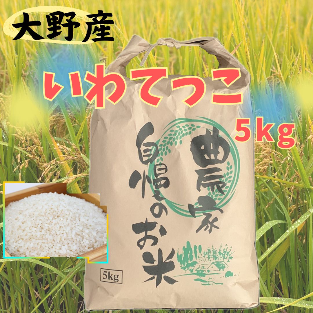 【ふるさと納税】【令和6年産】大野産いわてっこ5kg
