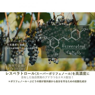 ふるさと納税 上田市 美容乳液 100ml オーガニック認証 エイジングケア 高濃度 約4か月分 [54040500] |  | 02