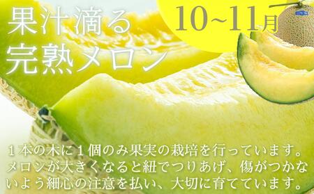 【6～9月受付／年3回お届け】季節のフルーツセット（2024年度【定期便 南国 高知 果物 ﾌﾙｰﾂ定期便 ﾌﾙｰﾂ定期便 ﾌﾙｰﾂ定期便 ﾌﾙｰﾂ定期便 ﾌﾙｰﾂ定期便 ﾌﾙｰﾂ定期便 ﾌﾙｰﾂ定期