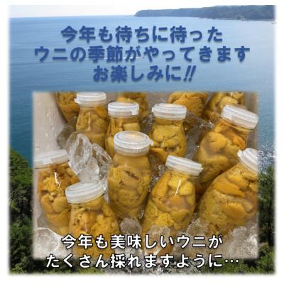 ふるさと納税 田野畑村 【令和8年6月〜順次発送】生うに200g!!　断崖と荒波で育つ　三陸・たのはた産(1本) |  | 02