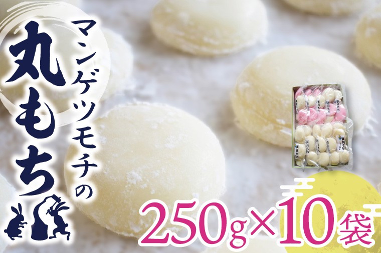 
                  マンゲツモチの丸もち 250g×10袋｜もち 丸もち お餅 マンゲツモチ もち米 満月 菓子処坂本 茨城県 行方市(K-5-1)
                