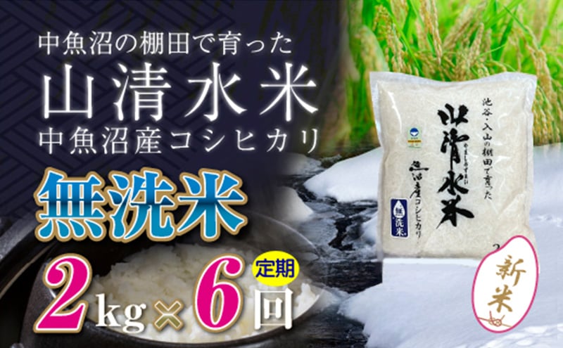 
            【令和6年産】【定期便／全6回】無洗米2kg　新潟県魚沼産コシヒカリ「山清水米」十日町市 米
          