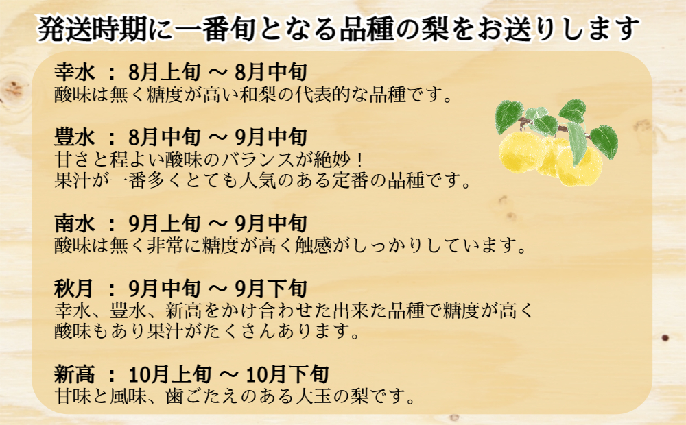 【予約受付中・8月上旬頃より順次発送】川添果樹園の特選梨 約3kg フルーツ 果物 梨 ナシ 完熟梨 季節の梨 旬の梨 秋の梨 鳴門の梨 完熟果物 季節の果物 旬の果物 秋の果物 鳴門の果物  完熟フ