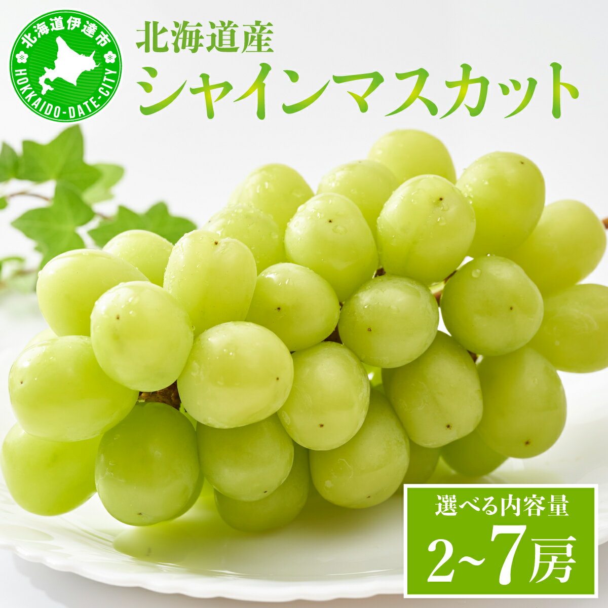 【ふるさと納税】＜先行予約＞【選べる内容量】シャインマスカット 2房（1kg以上） or 5~7房（3kg以上）