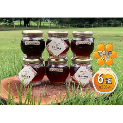 ふるさと納税 下野市 【毎月定期便】日本ミツバチの百花蜂蜜(200g×6瓶)国産100%天然生蜂蜜です。全6回