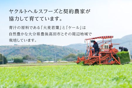 D4-04 私の青汁 60袋×2箱