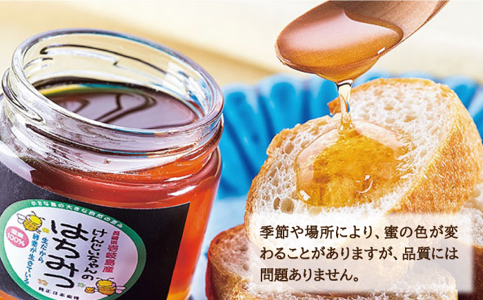 ニホンミツバチ 生蜂蜜 600g×2（パッカー300g・化粧箱付き） 《壱岐市》【憲ちゃんハチミツ】[JCL011] ハチミツ 蜂蜜 日本蜜蜂 ギフト プレゼント