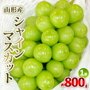 【ふるさと納税】山形産 シャインマスカット 約800g 1房 秀品 【令和7年産先行予約】FS24-731